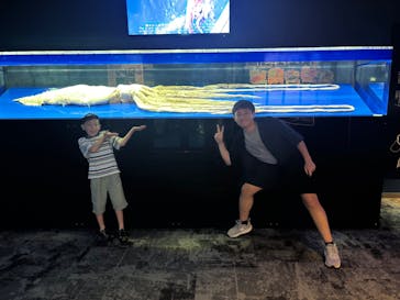 沖縄美ら海水族館に投稿された画像（2025/8/7）