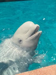 名古屋港水族館に投稿された画像（2025/8/7）