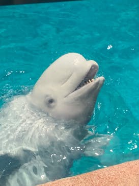 名古屋港水族館に投稿された画像（2025/8/7）