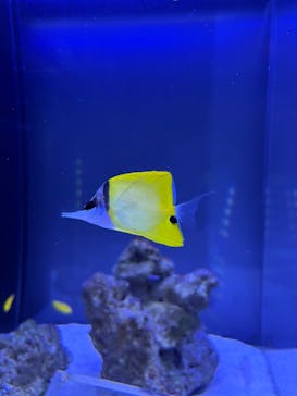 マクセル アクアパーク品川に投稿された画像（2025/8/7）