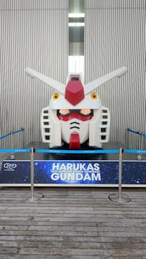 ハルカス300(展望台)に投稿された画像（2025/8/7）