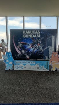 ハルカス300(展望台)に投稿された画像（2025/8/7）