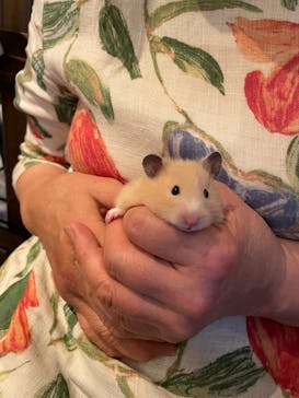 アニマルカフェフレカ　福島店に投稿された画像（2025/8/7）