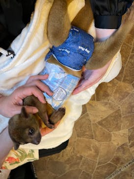 アニマルカフェフレカ　福島店に投稿された画像（2025/8/7）