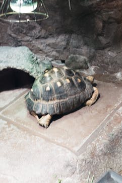 サンシャイン水族館に投稿された画像（2025/8/7）