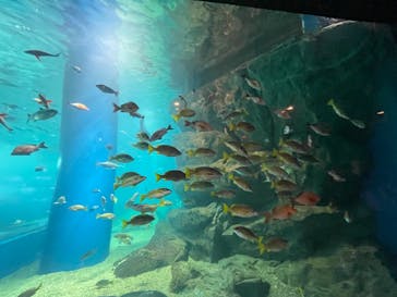 マクセル アクアパーク品川に投稿された画像（2025/8/7）