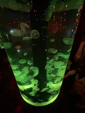 マクセル アクアパーク品川に投稿された画像（2025/8/7）