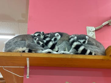 アニタッチ MARK IS 静岡に投稿された画像（2025/8/7）