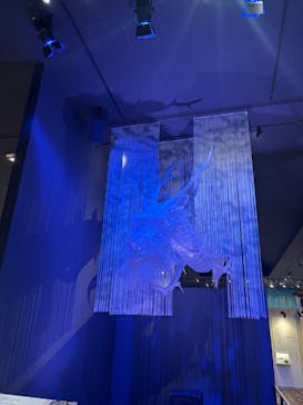 滋賀県立琵琶湖博物館に投稿された画像（2025/8/7）