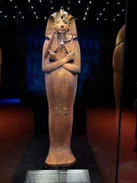 ACN ラムセス大王展 ファラオたちの黄金に投稿された画像（2025/8/7）