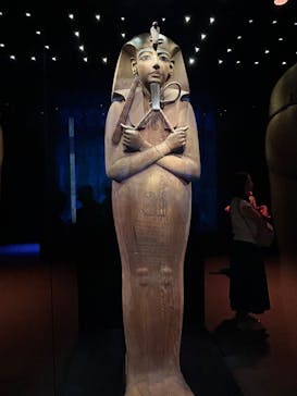 ACN ラムセス大王展 ファラオたちの黄金に投稿された画像（2025/8/7）