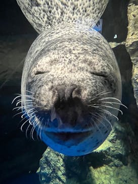 マクセル アクアパーク品川に投稿された画像（2025/8/7）