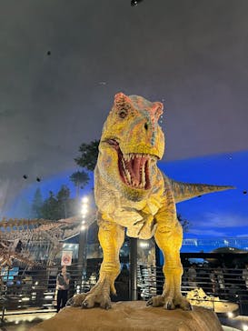 福井県立恐竜博物館に投稿された画像（2025/8/7）