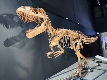 福井県立恐竜博物館に投稿された画像（2025/8/7）