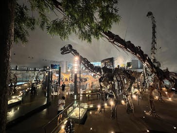 福井県立恐竜博物館に投稿された画像（2025/8/7）