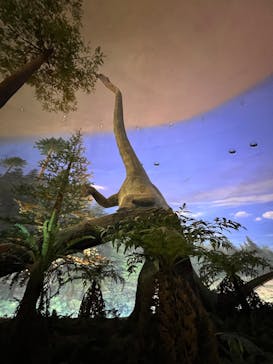 福井県立恐竜博物館に投稿された画像（2025/8/7）