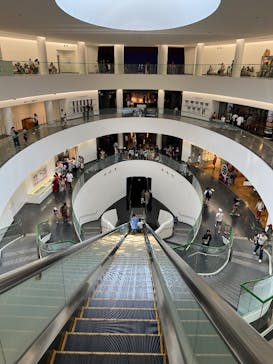 福井県立恐竜博物館に投稿された画像（2025/8/7）