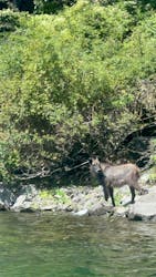 Nagomi Nature Connections（ナゴミ ネイチャー コネクションズ）に投稿された画像（2025/8/7）