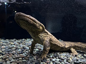 AOAO SAPPOROに投稿された画像（2025/8/7）