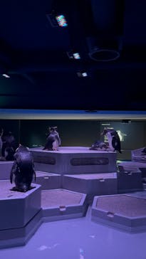 AOAO SAPPOROに投稿された画像（2025/8/7）