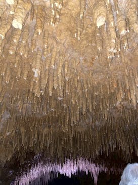 おきなわワールドに投稿された画像（2025/8/7）