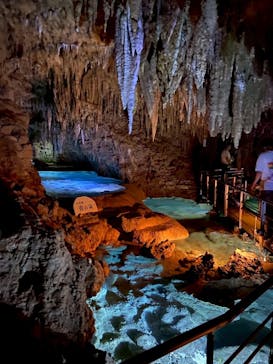 おきなわワールドに投稿された画像（2025/8/7）