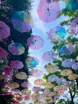 ムーミンバレーパークに投稿された画像（2025/8/7）