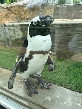 マリンワールド海の中道に投稿された画像（2025/8/7）