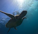 アイナ石垣島に投稿された画像（2025/8/7）