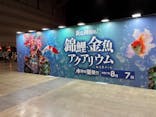錦鯉・金魚アクアリウム in ときメッセに投稿された画像（2025/8/7）