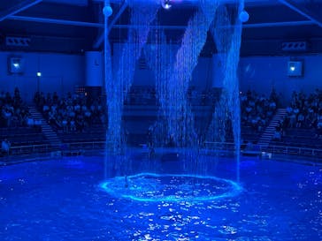 マクセル アクアパーク品川に投稿された画像（2025/8/7）