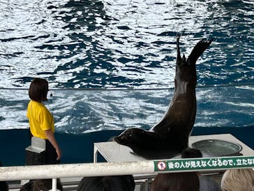 アクアワールド茨城県大洗水族館に投稿された画像（2025/8/7）