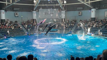 マクセル アクアパーク品川に投稿された画像（2025/8/7）