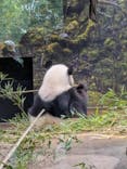 恩賜上野動物園に投稿された画像（2025/8/8）