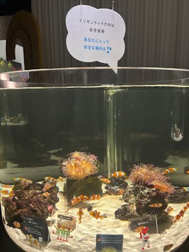 NIFREL（ニフレル）に投稿された画像（2025/8/7）