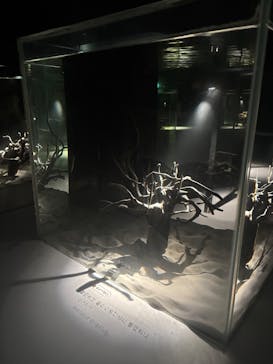 NIFREL（ニフレル）に投稿された画像（2025/8/7）