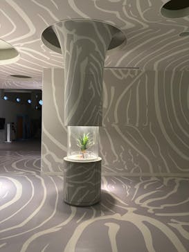 NIFREL（ニフレル）に投稿された画像（2025/8/7）