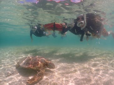 元気玉に投稿された画像（2025/8/7）