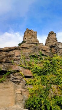 ひらかたパークに投稿された画像（2025/8/7）