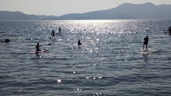 sup-oshima（サップオオシマ）に投稿された画像（2025/8/7）