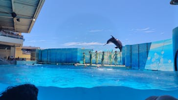 新江ノ島水族館に投稿された画像（2025/8/8）