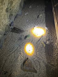 スターライフ石垣島に投稿された画像（2025/8/8）