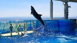 新江ノ島水族館に投稿された画像（2025/8/8）