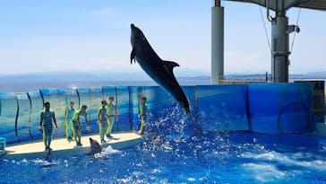 新江ノ島水族館に投稿された画像（2025/8/8）