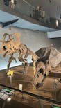 福井県立恐竜博物館に投稿された画像（2025/8/8）