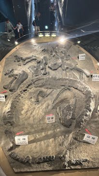 福井県立恐竜博物館に投稿された画像（2025/8/8）