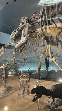 福井県立恐竜博物館に投稿された画像（2025/8/8）
