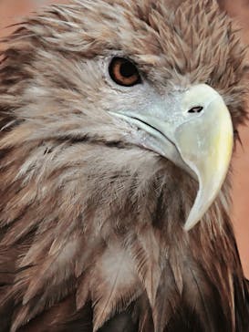 天王寺動物園に投稿された画像（2025/8/8）