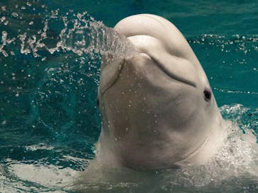 名古屋港水族館に投稿された画像（2025/8/8）