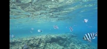 武藤潜水に投稿された画像（2025/8/8）